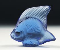 A BLUE LALIQUE FISH, No. 30003. 2ins in original box.