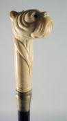 A CARVED BONE BULLDOG HANDLED WALKING STICK.