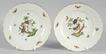 A GOOD PAIR OF HEREND PORCELAIN PLATES painted with birds and insects. 8.5ins diameter.