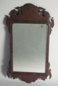 A GEORGIAN MAHOGANY UPRIGHT FRETWORK MIRROR. 2ft 3ins high, 1ft 3ins wide.