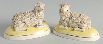 A PAIR OF STAFFORDSHIRE ENCRUSTED SHEEP on yellow bases. 5ins long.