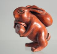 A JAPANESE BOXWOOD NETSUKE OF A RABBIT.
