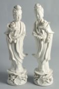 A PAIR OF BLANC-DE-CHINE PORCELAIN FIGURES OF GUANYIN, 31.5cm high.