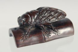 A JAPANESE CARVED HARDWOOD NETSUKE OF AN INSECT crawling on bamboo, signed, 5cm wide.