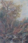 Oil painting of woodland scene with indistinct signature - approx. 41