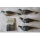 Hand made wooden pigeon decoys and A.E.B Johnson book Shooting Wood Pigeon - Image 4 of 8