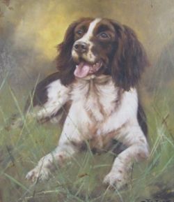 POST SALE TIMED AUCTION - Unsold Lots Antiques, Furniture, Ceramics, Pictures, Jewellery etc