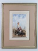 Ann Willoughby King ( mid XX) Watercolour with gouache highlights Portrait of a English Partridge