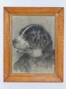 Birch XIX Canine School Charcoal and chalk Portrait of a circa 1840 favourite dog wearing a wide