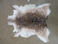 A deer skin throw / rug.