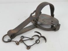 A 19thC Bear trap.