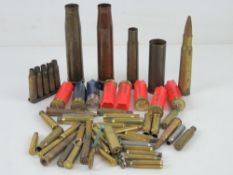 A quantity of assorted inert bullet case