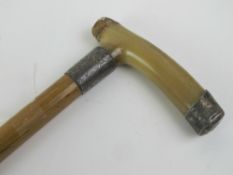 An early 20th century walking cane having horn handle, silver collar and end cap,