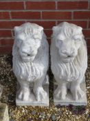 A pair of white painted pre-cast lions, each 54cm high.
