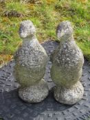 A pair of duck garden statues, each standing 35cm high.