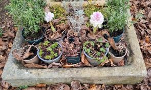 A scalloped pre-cast stone basin, 76 x 55 x 13cm.