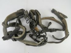 Three pairs of Lafette Straps.