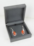 A large pair of Baltic amber earrings in presentation box, no apparent hallmarks, measuring 6.