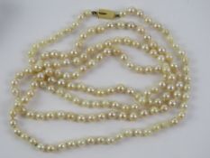 A long string of individually knotted pearls having yellow metal clasp, no apparent hallmarks,
