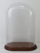 A glass dome on wooden base, base measuring 31 x 19cm. All standing 42.5cm high.