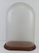 A glass dome on wooden base, base measuring 36 x 21cm. All standing 46.5cm high.