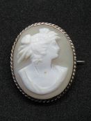A carved shell cameo brooch in rose metal setting, no apparent hallmark.