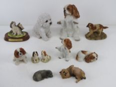A quantity of assorted dog figurines, mostly King Charles Spaniels, various makes,