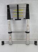 A telescopic ladder.