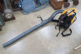 A Ryobi leafblower, untested.