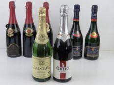 A quantity of assorted sparkling wine. Seven bottles.