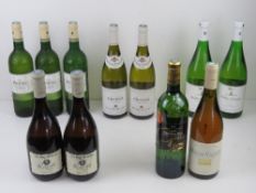 The Dog's Bollocks; two bottles of French White wine. Together with nine other assorted bottles of