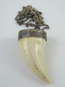 A boar tooth pendant set in white metal with key pattern upon on 925 silver chain. Pendant approx