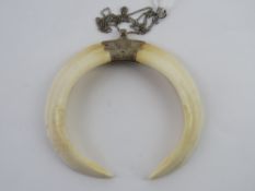 A Native American style boar tusk pendant having white metal fittings approx 9.5cm wide.