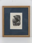 Wood engraving; Song Thrush by Donald Myall 8 of 75, 15 x 11cm.