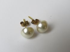 A pair of 9ct gold and pearl stud earring hallmarked 375.