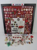 A collection of remembrance pins, approx