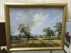 J K WHITTON 