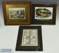 10 x Faulkners Angling cigarette cards fishing, mounted and framed part set35cm x 30cm, plus print