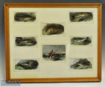 Period Fishing print Engravings, framed and mounted, 8 engravings by A W Warren, under glass -