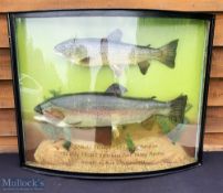 Peter Stone Cased Fish of a Brown Trout 5lb 2oz and a Rainbow trout 12lb 8oz, both caught by Bob