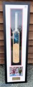 Dwayne 'DJ' Bravo - West Indies Autographed Cricket Bat display features a GM cricket bat with
