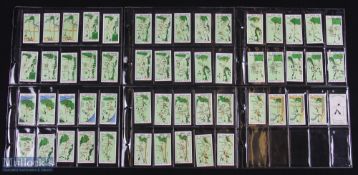 1934 Golf cigarette cards Churchman's 