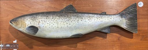 1939 Carved Wooden Sea Trout 19lbs 8oz mounted on board with typed history, it was the world