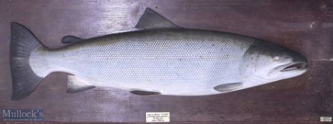 Carved Wooden Salmon by J Cooper & Sons weight 33 1/2lbs caught by Billy Carr, Monkswood Water,