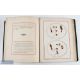 1876 A Quaint Treatise on Flies and Fly Making by an old fisherman W H Aldam, with a collection of - Image 4 of 4
