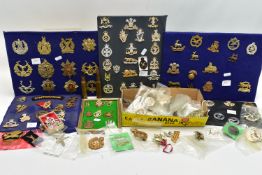 A LARGE BOX OF SEVERAL DISPLAY PADS OF MILITARY CAP BADGES, shoulder titles, Airborne etc,