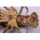 FRANZ BERGMAN (1861-1936) Austrian, a cold painted bronze model of a crayfish, stamped. 12. - Image 10 of 13
