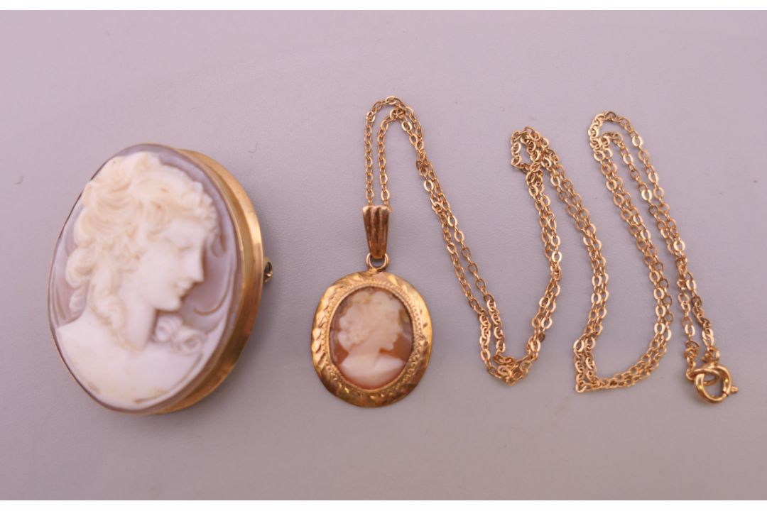A 9 ct gold mounted cameo pendant on chain and a cameo brooch. Pendant 2 cm high, brooch 3. - Image 1 of 5