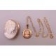 A 9 ct gold mounted cameo pendant on chain and a cameo brooch. Pendant 2 cm high, brooch 3. - Image 1 of 5