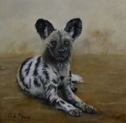 Wendy du Plessis (South African) oil on canvas study of a wild dog, signed lower left 30 x 30cm,